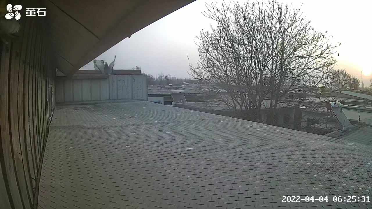 689�����У�����4���ٷ�ǧ����11��