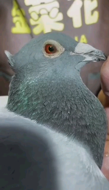 �ѵ�һ������ڸ� ���������Χ��