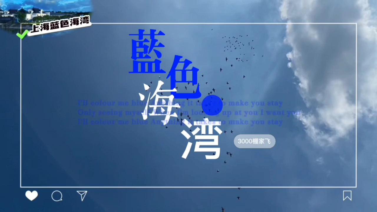 上海蓝色海湾–3000棚家飞 上海蓝色海湾四关鸽王赛公棚 中信网
