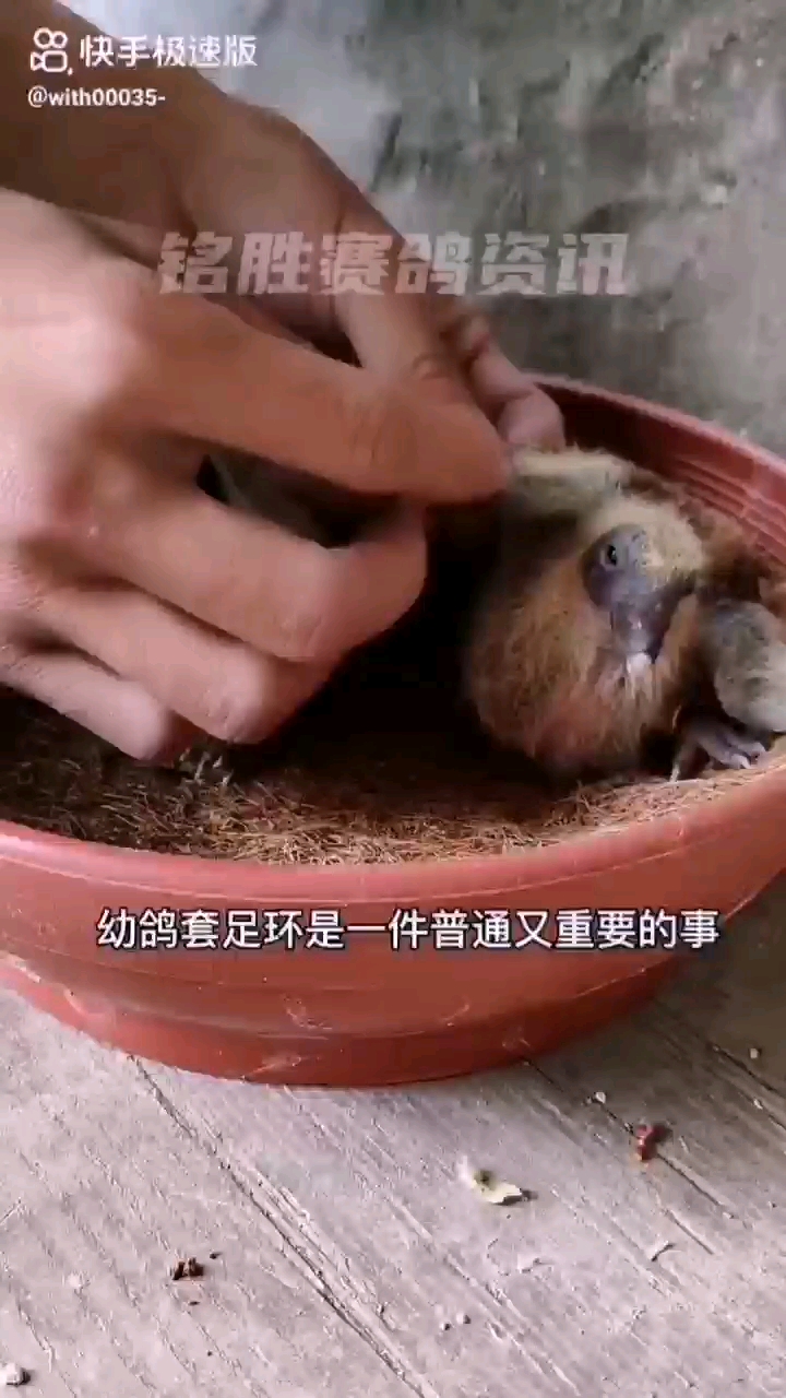 �ޱ۸��Ѹ��׸����㻷