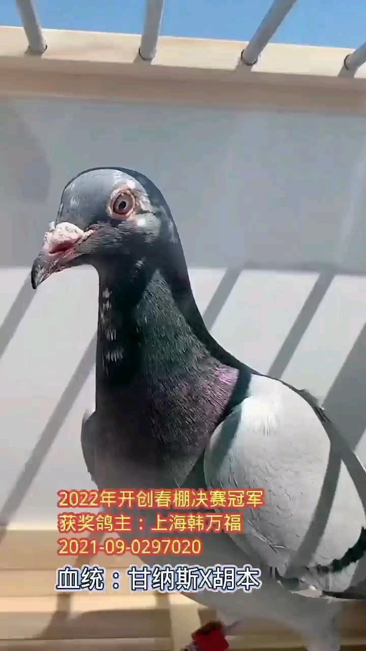 �����ߴ���ھ��Ǿ���������