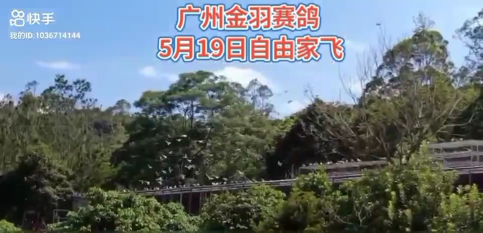 广州金羽国际赛鸽中心