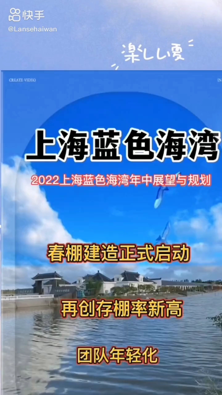 上海蓝色海湾赛鸽俱乐部 中信网各地公棚