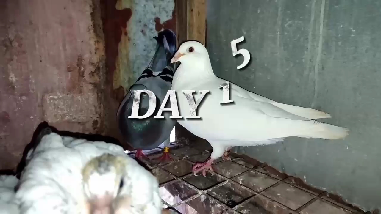 ������������� ���Ӵ�0��30��ı仯