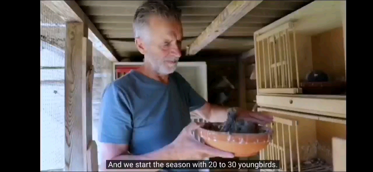 һ����������ȡʤ�ĸ���