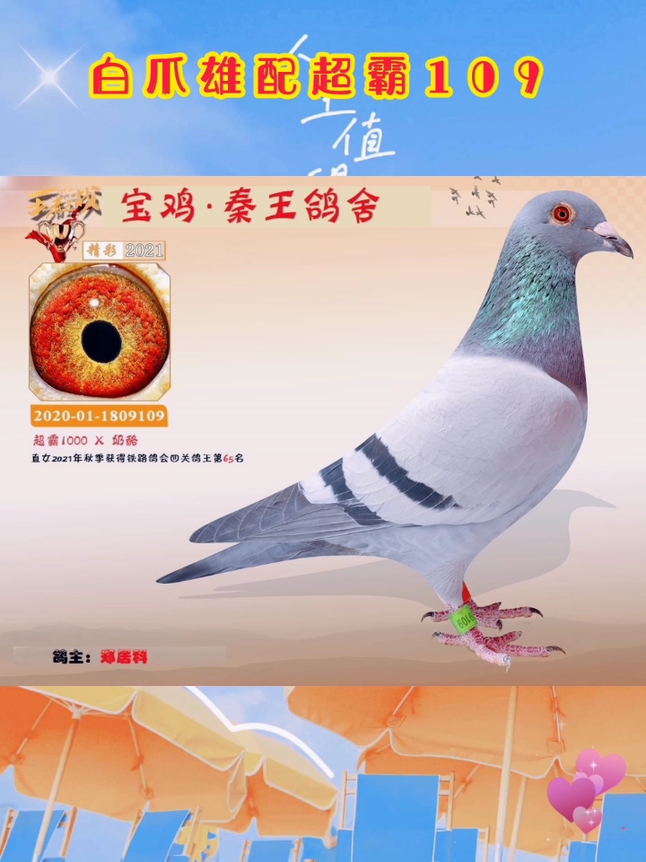 ����ڶ������ ��������Ĺظ���65λ