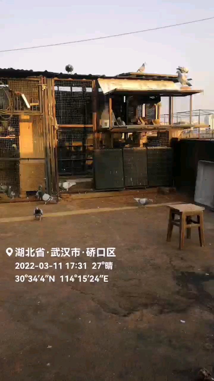 ��ª�ĸ��������˶���Ŀ���