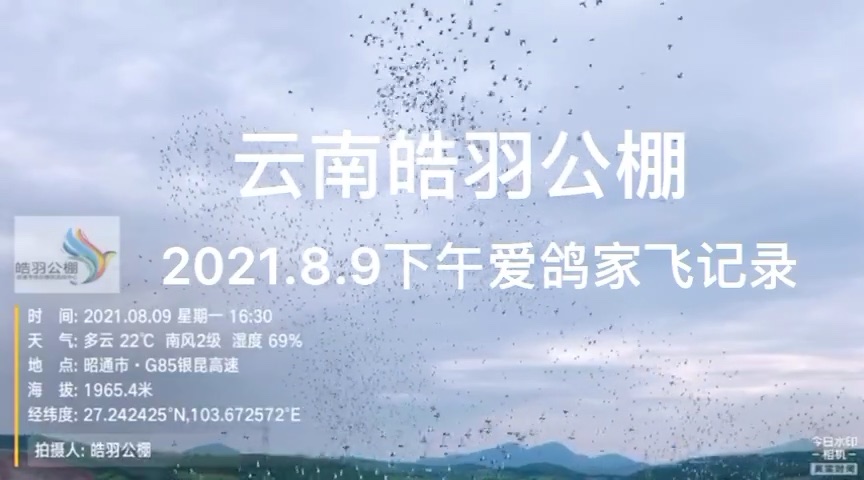 云南昭通皓羽赛鸽竞翔中心 17