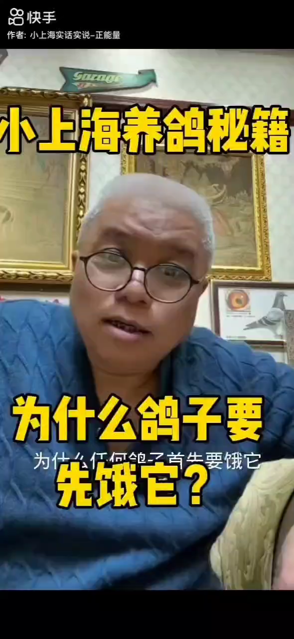 鸽子听话要先饿？